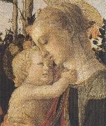 Sandro Botticelli Madonna of the Rose Garden or Madonna and Child with St John the Baptist oil
